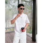 2025年4月6日入荷新作DIOR半袖 Tシャツ高級品/LD工場