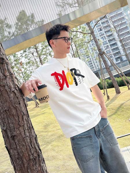 2025年4月6日入荷新作DIOR半袖 Tシャツ高級品/LD...