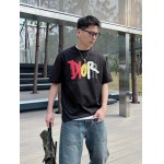 2025年4月6日入荷新作DIOR半袖 Tシャツ高級品/LD工場