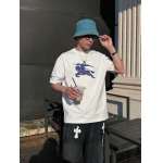 2025年4月6日入荷新作BURBERRY半袖 Tシャツ高級品/LD工場