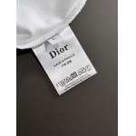 2025年4月6日入荷新作DIOR半袖 Tシャツ高級品/LD工場