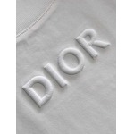 2025年4月6日入荷新作DIOR半袖 Tシャツ高級品/LD工場