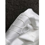 2025年4月6日入荷新作DIOR半袖 Tシャツ高級品/LD工場