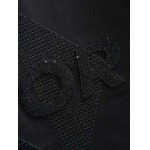 2025年4月6日入荷新作DIOR半袖 Tシャツ高級品/LD工場