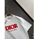 2025年4月6日入荷新作DIOR半袖 Tシャツ高級品/LD工場
