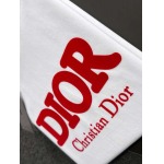 2025年4月6日入荷新作DIOR半袖 Tシャツ高級品/LD工場