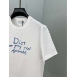 2025年4月8日入荷新作DIOR半袖 Tシャツ高級品/MP工場