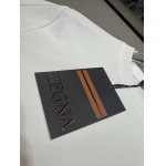 2025年4月8日入荷新作ZEGNA半袖 Tシャツ高級品/MP工場