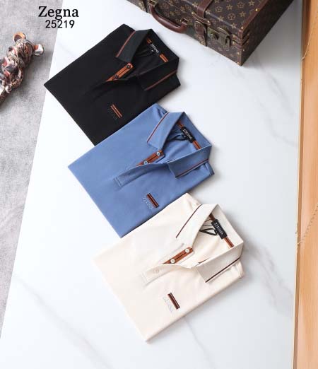 2025年4月17日入荷新作ZEGNA 半袖Tシャツ 超厳選...