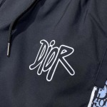 2025年4月18日入荷新作Dior半ズボン/ビーチパンツ/YI+YI工場M-3XL