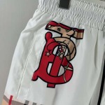 2025年4月18日入荷新作burberry半ズボン/ビーチパンツ/YI+YI工場M-3XL