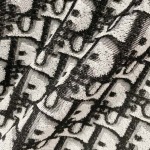 2025年4月21日入荷新作DIOR半袖 Tシャツ★誕生日プレゼント/結婚祝い/内祝い/贈り物/LD工場XS-L