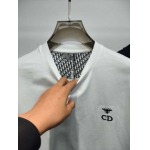 2025年4月26日入荷新作DIOR半袖Tシャツ 原版复刻高級品香港の会社超厳選★入手困難/誕生日プレゼント/yinx工場