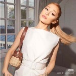 2025年4月29日入荷新作 YSL バッグ/XX工場