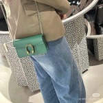 2025年4月29日入荷新作Gucci476432 サイズ ：16.5x10x4.5cm/XX工場