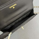 2025年5月28日入荷新作 新品Chanel  SIZE:19.5cmお安い/人気/本革 バッグ/XX工場
