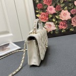 2025年5月28日入荷新作 新品 Chanel  SIZE:19.5cmお安い/人気/本革 バッグ/XX工場