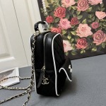 2025年5月28日入荷新作 CHANEL 25P  SIZE:18x13x9cm  お安い/人気/本革 バッグ/XX工場