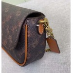 2025年5月28日入荷新作Coach 2月新品 CAN90 CAN91 CAN92 Brook Chain bag  SIZE:  23-12-4   お安い/人気/本革 バッグ/XX工場