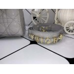 2025年6月5日入荷新作20CMx16.5CMx8CM  Lady Diorお安い/人気/革/バッグ/SY工場