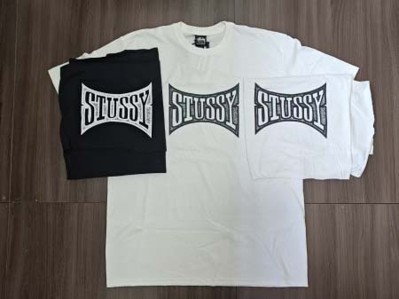 2025年6月12日入荷新作T  STUSSY 25SS C...