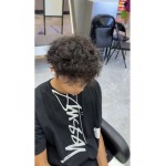 2025年6月12日入荷新作STUSSY X DAVID SS24  CARSON DINO TEE Tee  S-XL 誕生日プレゼント/男女兼用/高品質/正規品と同じ人気/16工場