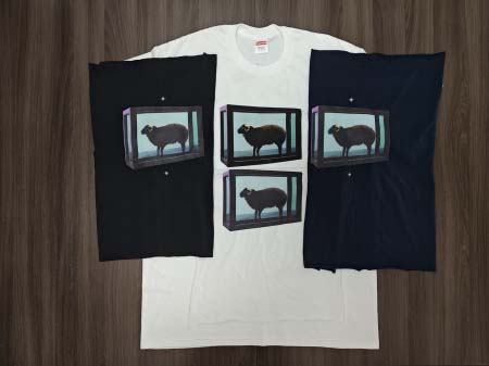 2025年6月12日入荷新作 T  SUPREME 25SS...