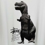 2025年6月13日入荷新作T STUSSY SS25 BIG & MEATY TEE PIGMENT DYED   S- XL    誕生日プレゼント/男女兼用/高品質/正規品と同じ人気/16工場