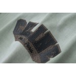 2025年6月24日入荷新作Celine半袖 tシャツ★誕生日プレゼント/ファッションの流行/贈り物/LWC工場S-XL