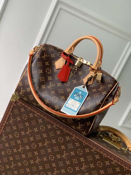 2025年6月26日入荷Louis Vuitton バッグS...