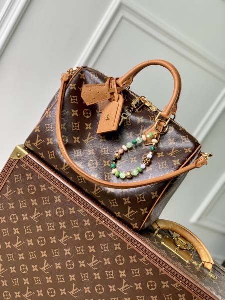 2025年6月26日入荷Louis Vuitton バッグS...
