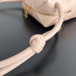 2025年7月7日入荷新作 Bottega Veneta  701915 Cassette  14x14x7  極品/正規品同様/人気/革/バッグ/AJ工場