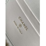 2025年7月17日入荷新作シャネル バッグ最高級品AP4531  YKK  18K金牛皮  Size:：19.5x17x5cm恋人プレゼント/誕生日/母の日/母のひプレゼント/お祝い女性結婚祝い/KK工場