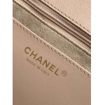 2025年7月17日入荷新作シャネル バッグ最高級品5447CHANEL 25S， 中 Size：26x33x9cm恋人プレゼント/誕生日/母の日/母のひプレゼント/お祝い女性結婚祝い/KK工場