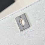 2025年7月17日入荷新作シャネル バッグ最高級品AP4498 Size：18.5*11*6cm恋人プレゼント/誕生日/母の日/母のひプレゼント/お祝い女性結婚祝い/KK工場