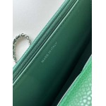 2025年7月17日入荷新作シャネル バッグ最高級品Chanel Size:19cmX12cmX3cm恋人プレゼント/誕生日/母の日/母のひプレゼント/お祝い女性結婚祝い/KK工場