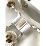 2025年7月17日入荷新作シャネル バッグ最高級品CHEANL AS3618  22C 早春 Size:22x25x18cm恋人プレゼント/誕生日/母の日/母のひプレゼント/お祝い女性結婚祝い/KK工場