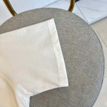 2025年7月27日入荷新作ZEGNA半袖 tシャツ高品質人気商品/DW工場