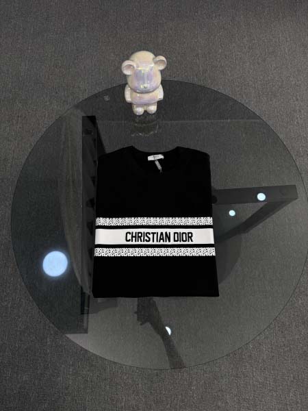2025年7月27日入荷新作Dior半袖 tシャツ高品質人気...