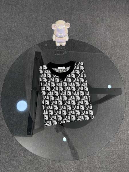 2025年7月27日入荷新作Dior半袖 tシャツ高品質人気...