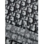 2025年7月27日入荷新作Dior半袖 tシャツ高品質人気商品/DW工場