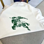 2025年7月28日入荷新作burberry半袖 tシャツ高品質人気商品/DW工場