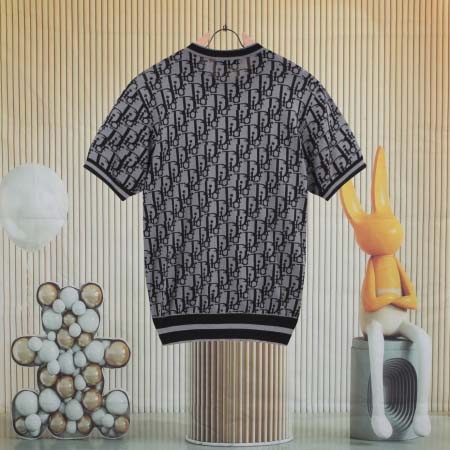 2025年8月13日入荷新作DIOR半袖 tシャツ人気商品/DW工場