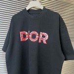 2025年8月8日入荷新作DIOR半袖 tシャツ高品質人気商品/DW工場S-XXL