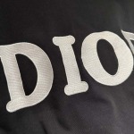 2025年8月10日入荷新作DIORtシャツ人気商品