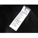 2025年9月8日入荷新作LOEWEズボン高品質人気商品/誕生日プレゼント/FF工場