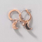 2025年9月25日入荷新品SWAROVSKIギフト/誕生日/記念品/アクセサリーxin工場