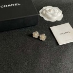 2025年9月25日入荷新品Chanelピアスギフト/誕生日/記念品/アクセサリーxin工場