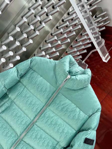 2025年10月27日秋冬新作Diorダウンジャケット高品質超厳選★入手困難/P5工場