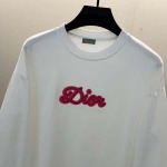 2025年10月9日秋冬入荷新作DIORスウェット高品質安い人気商品/HL工場